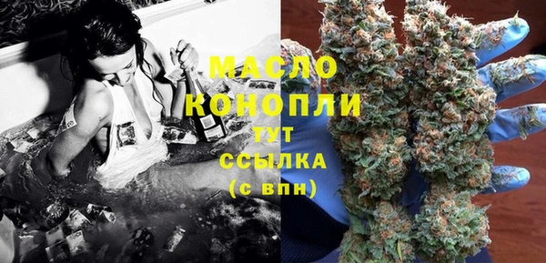 индика Михайлов