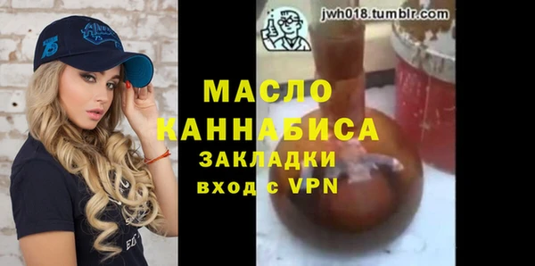 индика Михайлов