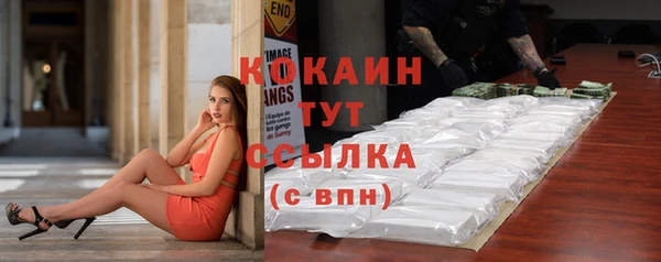 индика Михайлов