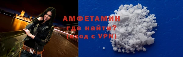 индика Михайлов