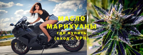 индика Михайлов