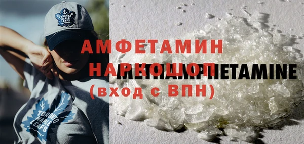 индика Михайлов