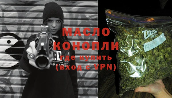 индика Михайлов