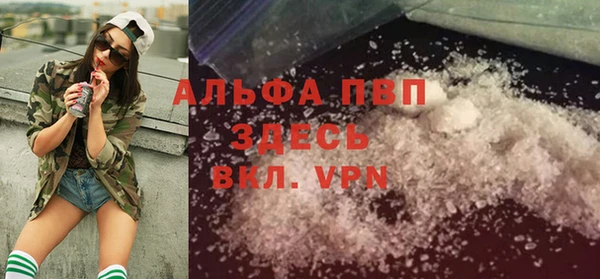 индика Михайлов