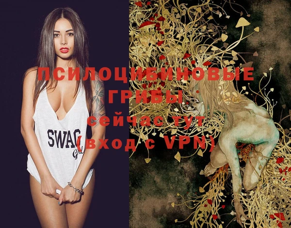 spice Михайловка