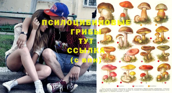 spice Михайловка