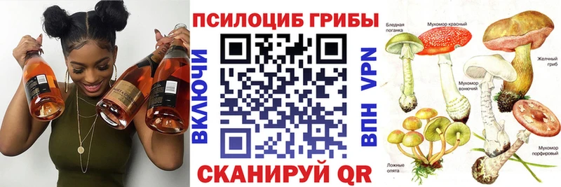 Галлюциногенные грибы Psilocybine cubensis  Юрьев-Польский 